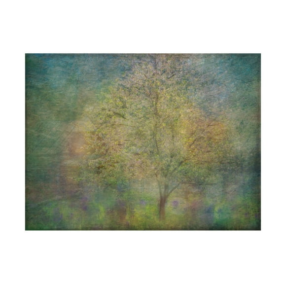 Canvas Wall Art - Saskia Dingemans 'Impressions Of A Tree' Wall Art for Living Room, Bedroom, or Office Décor by Trademark Fine Art - 19 x 14 Inches