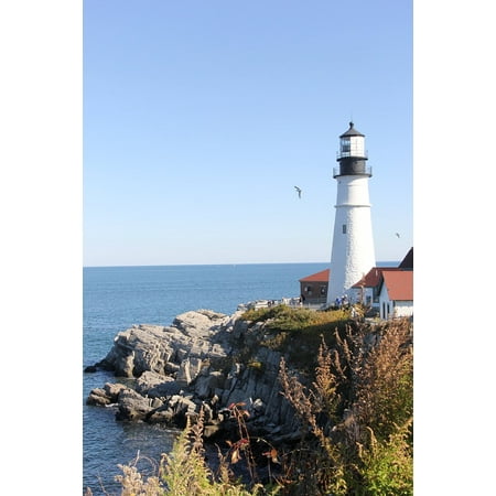 East Coast Lighthouses - Laminated Poster East Coast Landmark Lighthouse Coastline Coast Poster Print 24 x 36