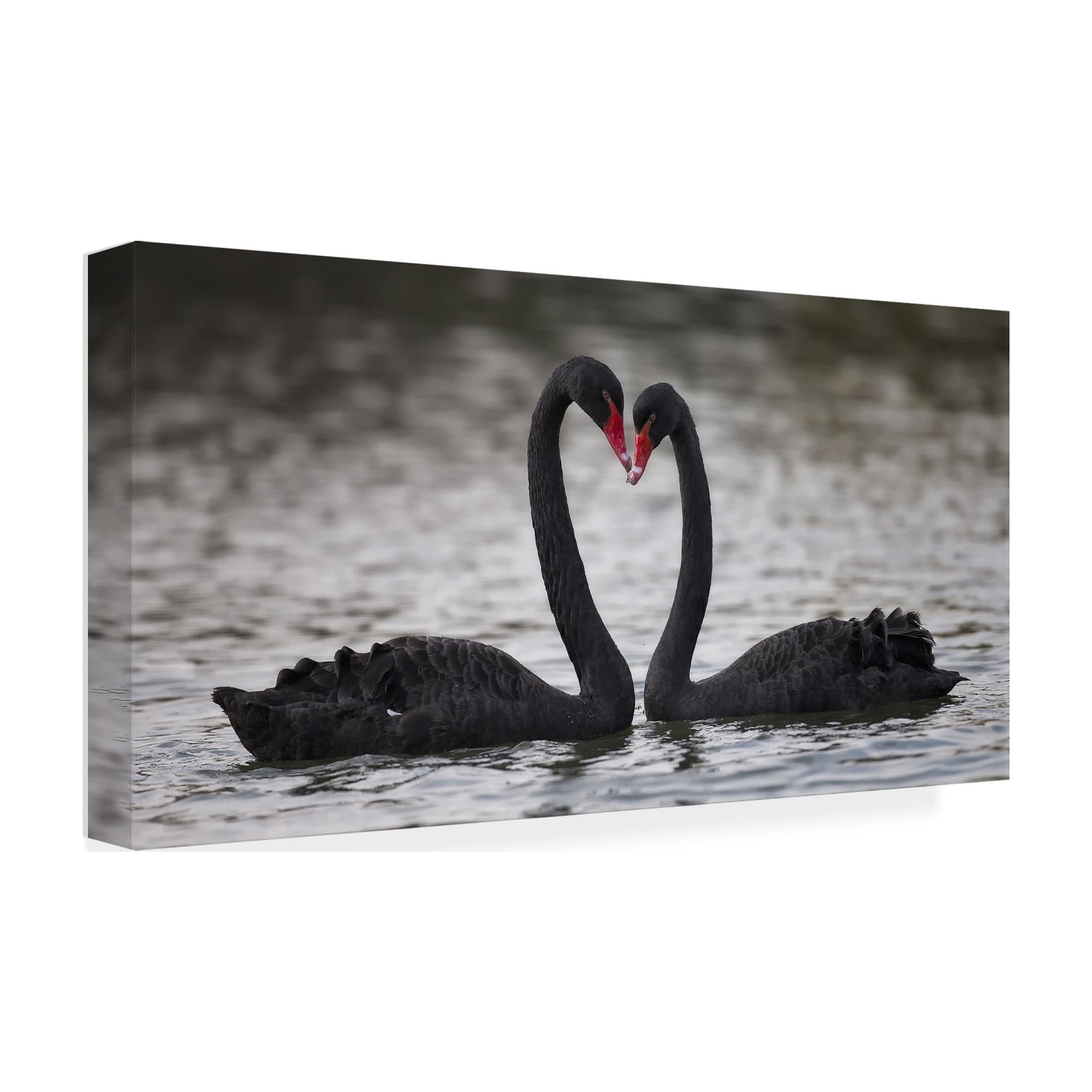C.S. Tjandra 'In Love' Canvas Art
