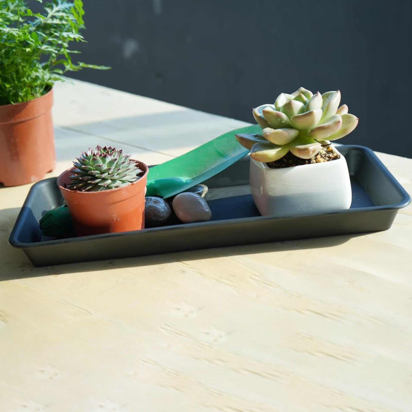 SLUOHZXI Plant Saucer Growing Tray, Seed Starter Tray Rectangular, Heavy Sturdy Plastic Plant Drainage Saucers, Plant Drip Trays for Pots, Seed Starter Growing Trays (15.7 x 6 inch, 5 Pack)