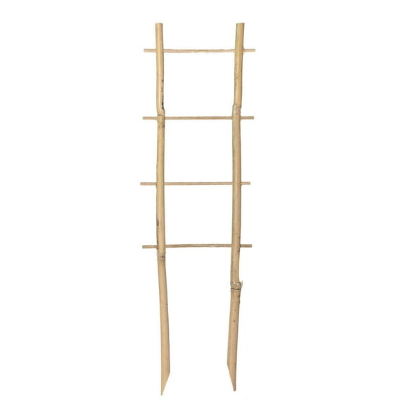 Tomato Plant Support,1 Set of Potted Plant Stand Vegetable Garden Climbing Garden Arch Peony Support Frame Mini Climbing Decorative Lattice Wood Tomato Garde,Wood Plant Stand