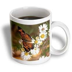 

3dRose Monarch Butterfly on wild daisies Ceramic Mug 11-ounce
