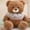 Brown, variant on Viflosae Gift for a One Year Old Girl Bear Doll Children's Gift Soothing Sleep Accompanying Cute Birthday Gift Princess Plush Toy Boys And Girls Holiday Gift Parent Child Interactive Toy