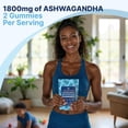 thumbnail image 6 of True Sea Moss Ashwagandha Gummies with Sea Moss, Burdock & Bladderwrack, Vegan Herbal Blend for Men & Women, 60 Gummies in Pouch, 6 of 8