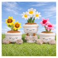 thumbnail image 1 of Set de 3 flores de peluche con forma de flor grande, cactus y suculentas, con maceta, 1 of 9