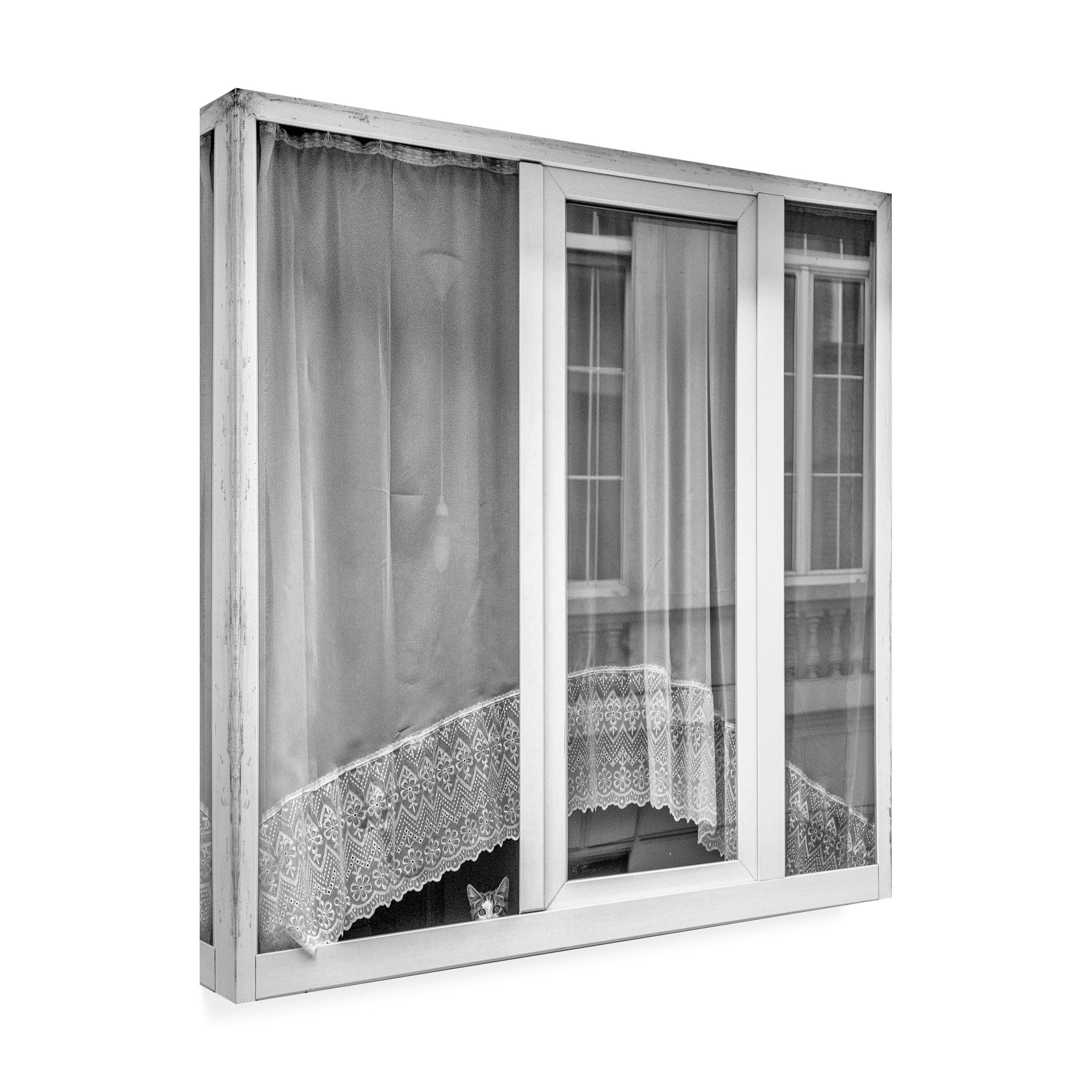 Susanne Stoop 'Kitten Window' Canvas Art
