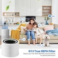 thumbnail image 3 of Filtro de repuesto Colorfullife Core 300 para purificador de aire LEVOIT, 3 of 8