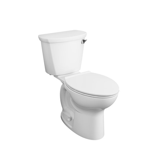 10 Inch Rough Toilet 10 Inch Rough Toilet
