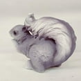 thumbnail image 4 of Estatuil de estatua de jardín de animales de ardil de resina: decoración artística oficina en interiores y exteriores gris CUTICAT Estatuilla de ardilla de jardín, 4 of 8