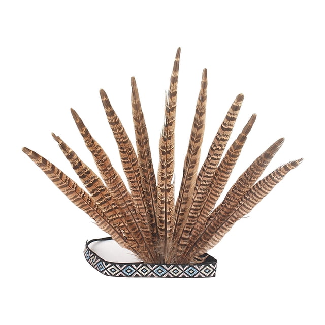 de plumas s Corona Fascinator Jefe Sombrero indio Estilo nacional Banda para el cabello Disfraz para Halloween Escenario Fiesta burlesca Salvador Banda para el cabello