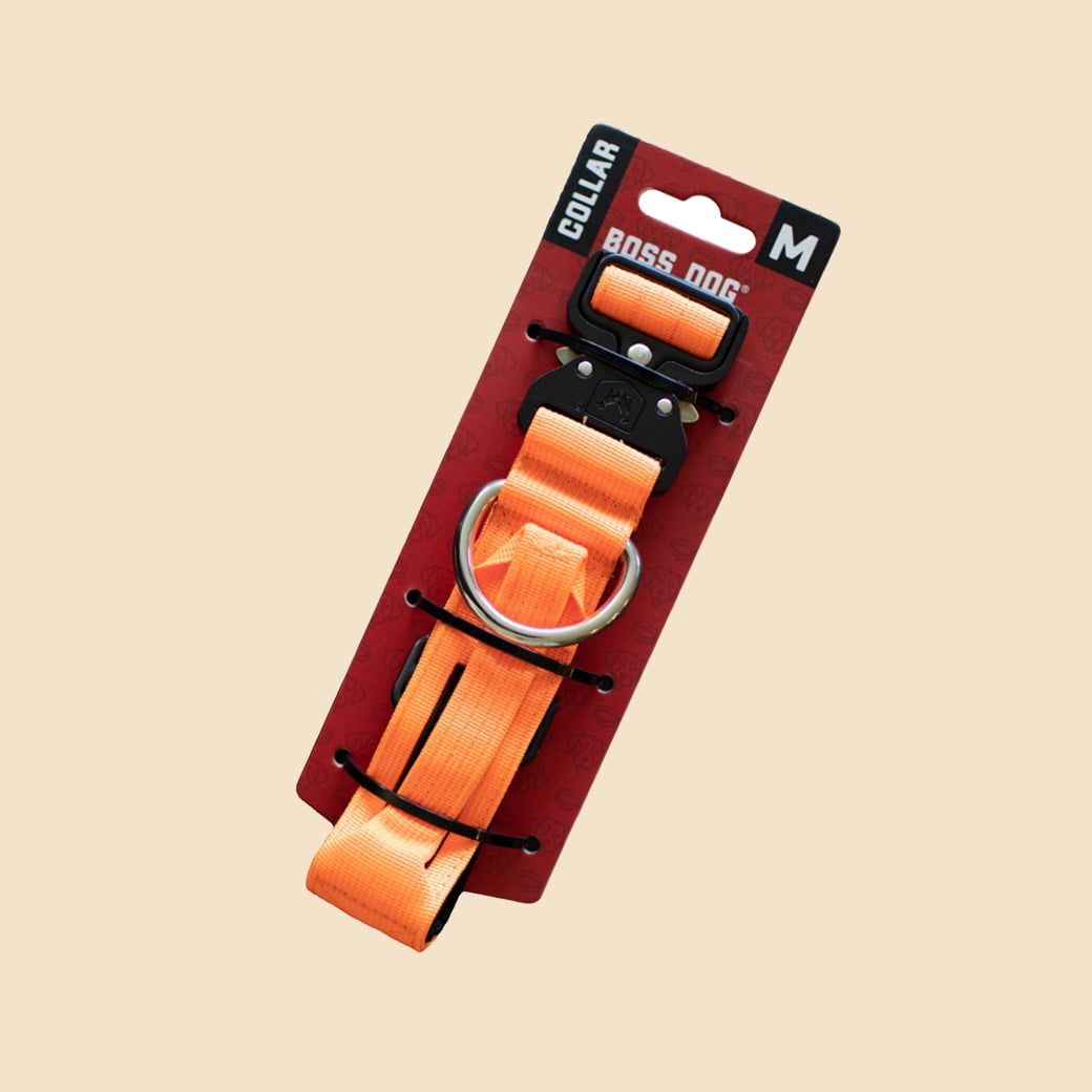 Boss Nation 850030579102 Tactical Adjustable Dog Collar, Hunter Orange - 15-18 in - Medium