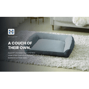 Sealy® Supportive Plush Pet Couch