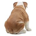 thumbnail image 3 of Ebros Life Sized Realistic English Bulldog Statue 14.5 inch Garden Statue, 3 of 5