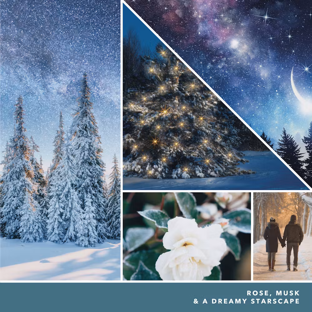 thumbnail image 3 of Yankee Candle Winter Night Stars Classic Medium Original Jar Candle, 3 of 3