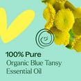 thumbnail image 6 of Plant Therapy Organic Blue Tansy Essential Oil 100% Pure, Undiluted, Natural Aromatherapy 2.5 mL (1/12 oz), 6 of 8