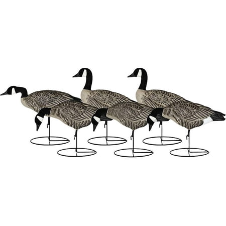 Dakota Decoys Signature Series Lesser Canada Goose Decoys 6 Pack
