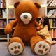 thumbnail image 5 of Abrigo de piel de oso vacío gigante, 7 colores, 100-260cm, barato, sin relleno, suave, piel grande, concha de felpa semiacabada, regalo para niños y niñas, 5 of 5