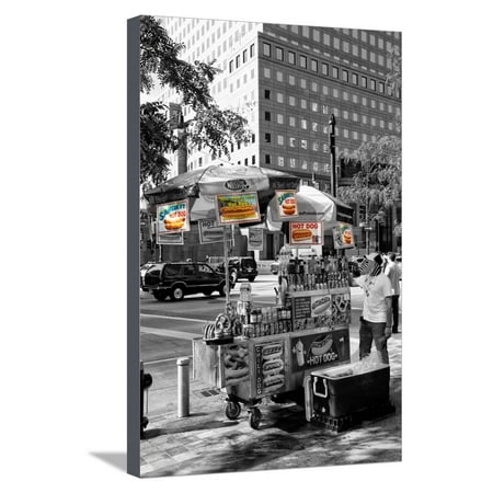 Safari CityPop Collection - NYC Hot Dog with Zebra Man Stretched Canvas Print Wall Art By Philippe