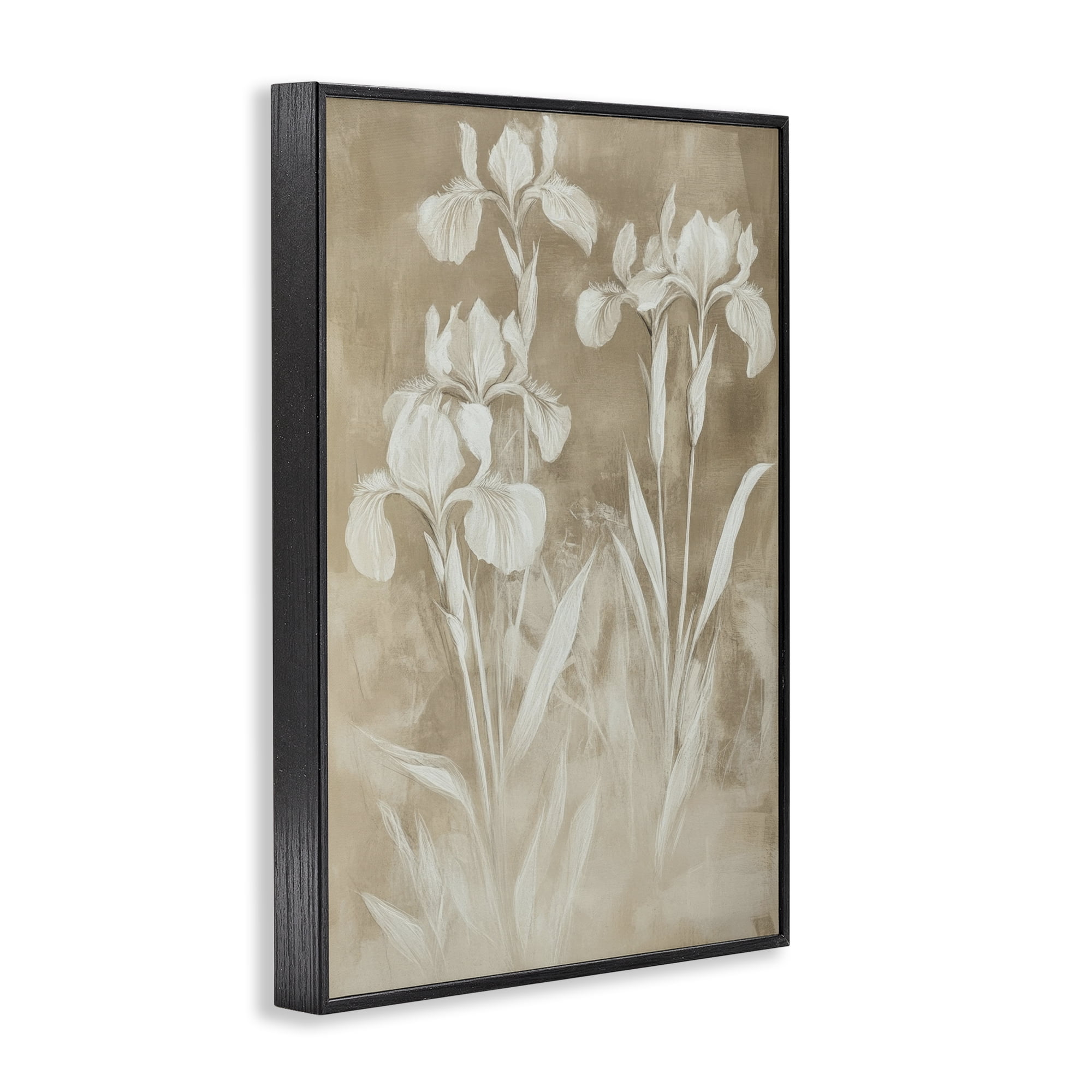 Stupell Industries Neutral Iris Botanical Study Black Framed Giclee Art, design by Petal Prints Design