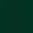 Green, variant on Champro Womens VISION T-Shirt (Forest Green, S)