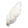 thumbnail image 1 of KLKCMS 50Pcs Magnolia Skeleton Leaves Bookmark Jewelry Making Specimen Craft Leaves, 1 of 9