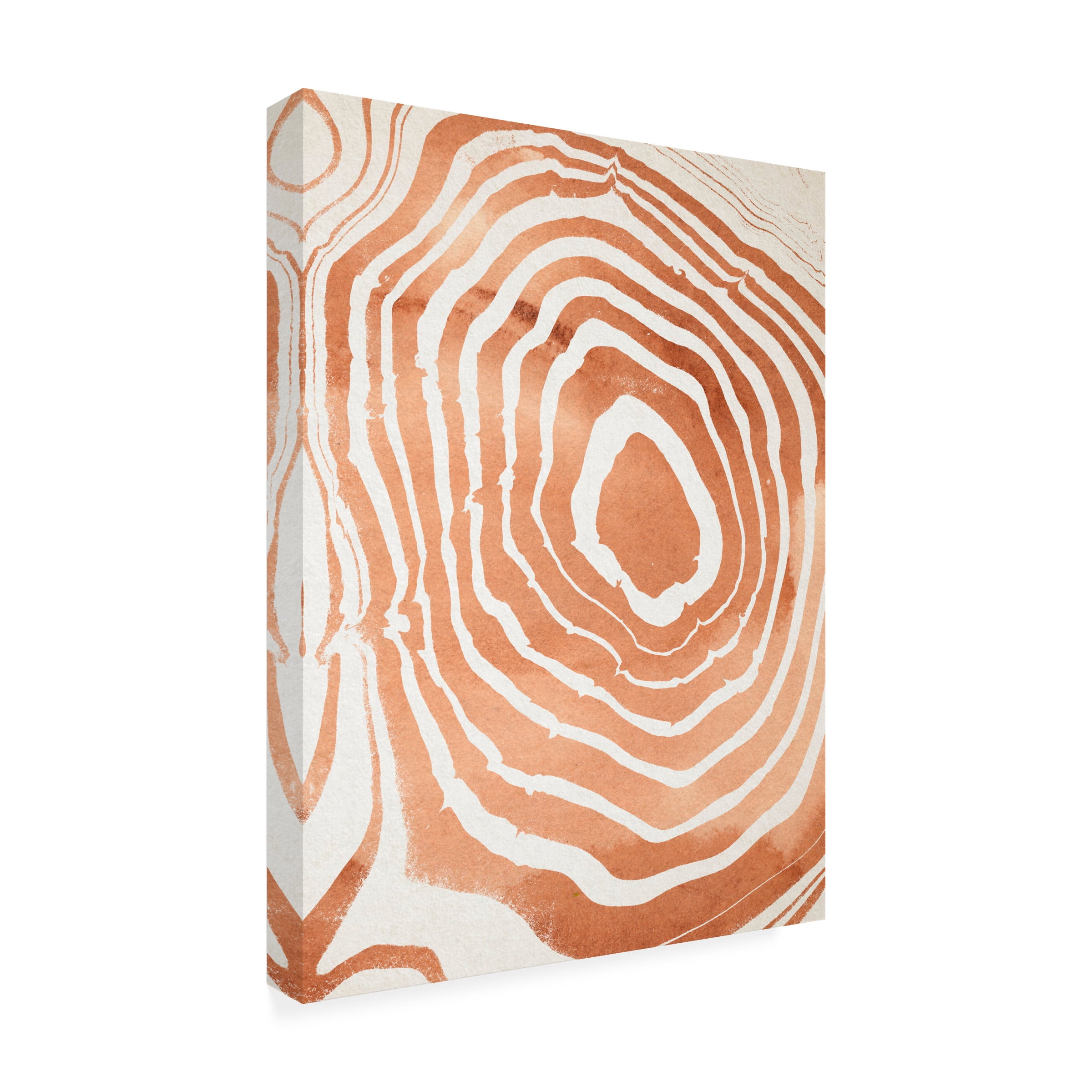 Annie Warren 'Wood Grain Suminagashi III' Canvas Art
