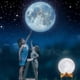 thumbnail image 5 of Moon Lamp Remote Touch Control Moon Light 3d Printing 16 Colors Led Moon Night, 5 of 5