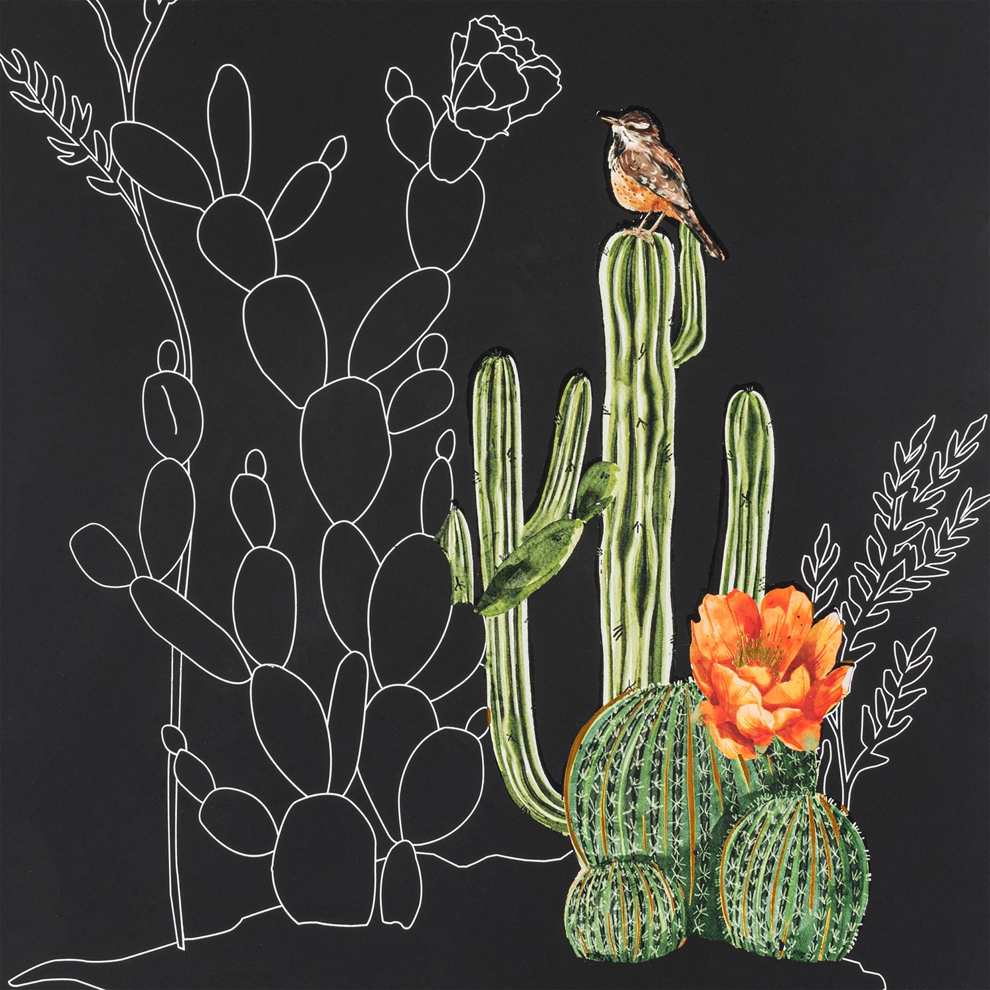 Brea Reese: Scratch Art Paper Pad - Cactus - 6 Landscape Designs, Guided Art, Metallic Accents, Dual-Tip Stylus & Brush, 9x12" Pages, Adult Craft