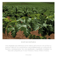 thumbnail image 4 of Vino L.A. Cetto Estaciones: Otoño e Invierno Paquete de 4 bot. De 750 ml, 4 of 5