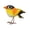 Gold Finch, variant on Regal Art & Gift Bird Decor 9" - Cardinal Metal 9" Statue Garden