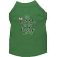 thumbnail image 1 of Bunny Is My Bestie Screen Print Dog Shirt Green Med (12), 1 of 1