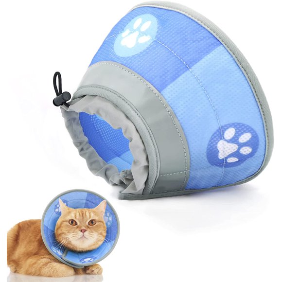 Cat Collar Cone