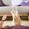 thumbnail image 2 of BESTSKY 2Pcs Kitten Toys,Fun and Active Engagement Interactive Cat Toys,Playful Interaction Cat Wand,Style1, 2 of 5