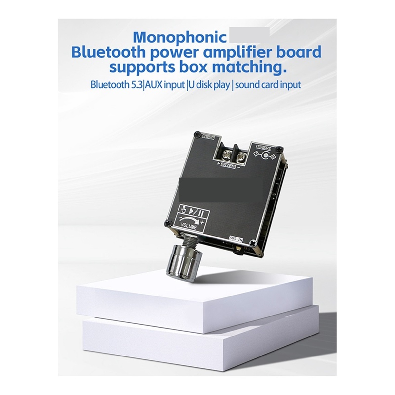 Mono Digital Amplifier Module Supports True Wireless DIY Simple Mono Amplifier ,Bass & Treble Control