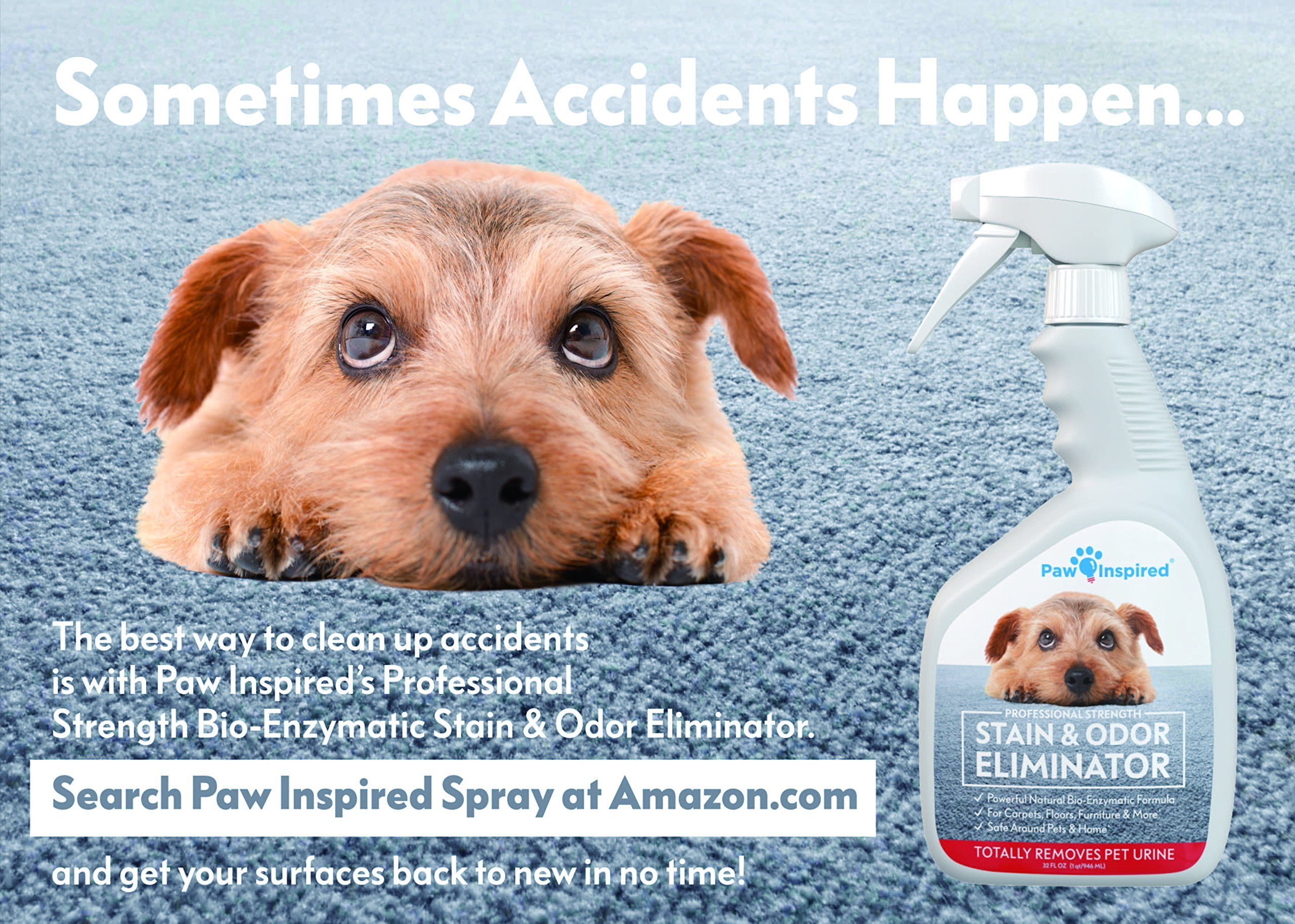 puppy training pads pets at home