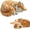 Cat, variant on Cat Calming Toy with Realistic Heartbeat - Soft Plush Heartbeat Toy ,Black | Heartbeat Cat Calming Toy, Anxiety Relief & Stress , Plush Toy with Heartbeat for Cats