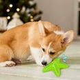 thumbnail image 2 of STARTIST Star Shape Dog Toothbrush Squeaky Chew Toy | Pet Teeth Cleaning Stick | Dog Oral Green, 2 of 8