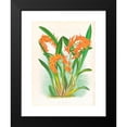 thumbnail image 2 of Jean Jules Linden 19x24 Black Modern Framed Museum Art Print Titled - There is Aurantiaca (1885-1906), 2 of 5