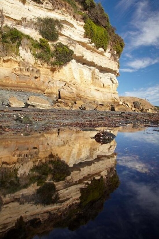 Cliffs of Fossil Bluff, Wynyard, NW Tasmania, Australia Poster Print by