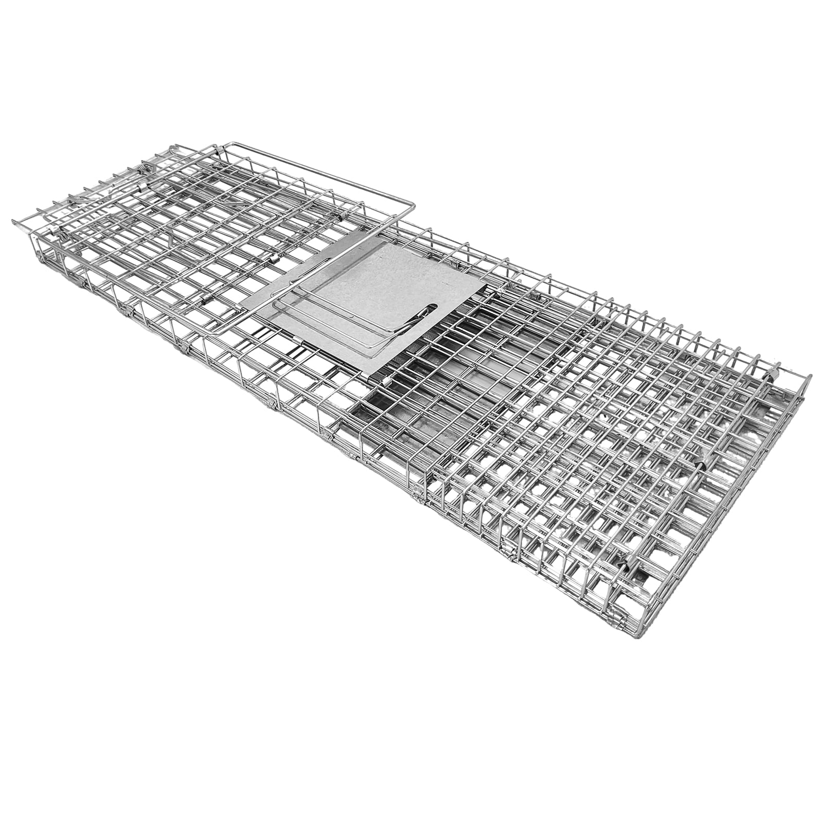 PRIJESSE 31inch Foldable Humane Live Animal Trap Cage for Squirrel, Rat, Bunny, Mink, No-Kill Bait Trapping Kit, Catch & Release, Silver