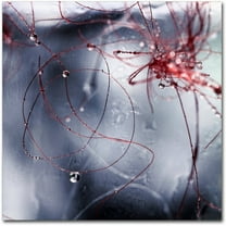 Trademark Fine Art "One Day I'll Find You" Canvas Art by Beata Czyzowska Young