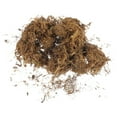 thumbnail image 1 of Plastic Artificial Moss Ornament for Fish Tank Diy Background Wall 1Pack, 1 of 8