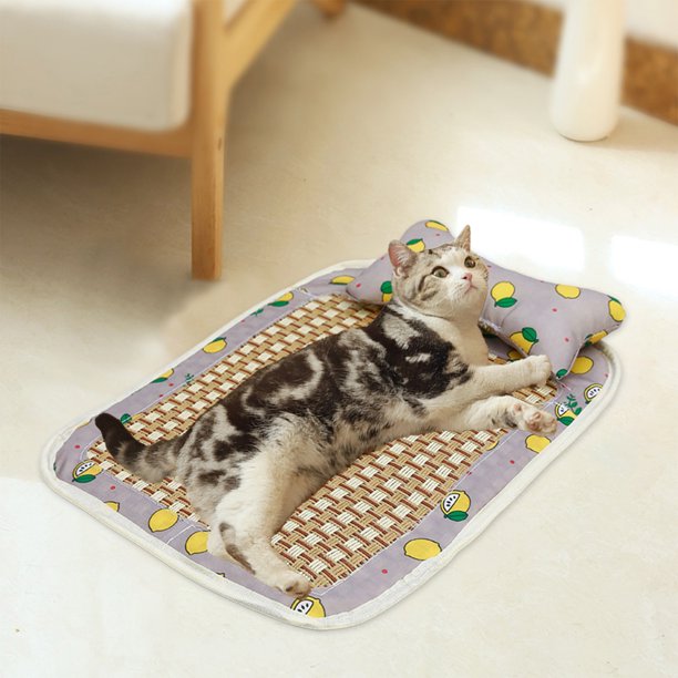 Esterilla Refrescante de Ratán Transpirable para Mascotas. Cama para Gatos y Perros con Almohada Extraíble, Ideal para Uso En Interiores y Exteriores En Climas Cálidos.