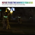 thumbnail image 3 of Collares luminosos para perros, collares de seguridad, collares luminosos para perros, collares con luces intermitentes nocturnas para mascotas, 3 of 5