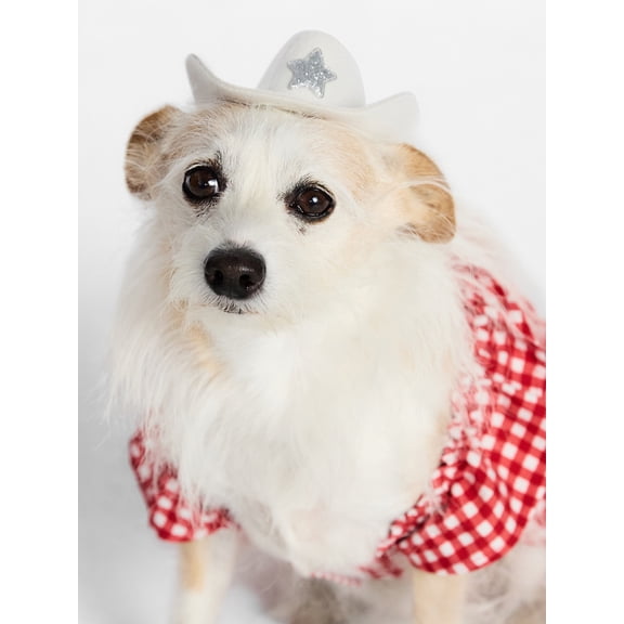 Kacey Lee Sparkle Star Dog Cowboy Hat, White, Size XS/SM