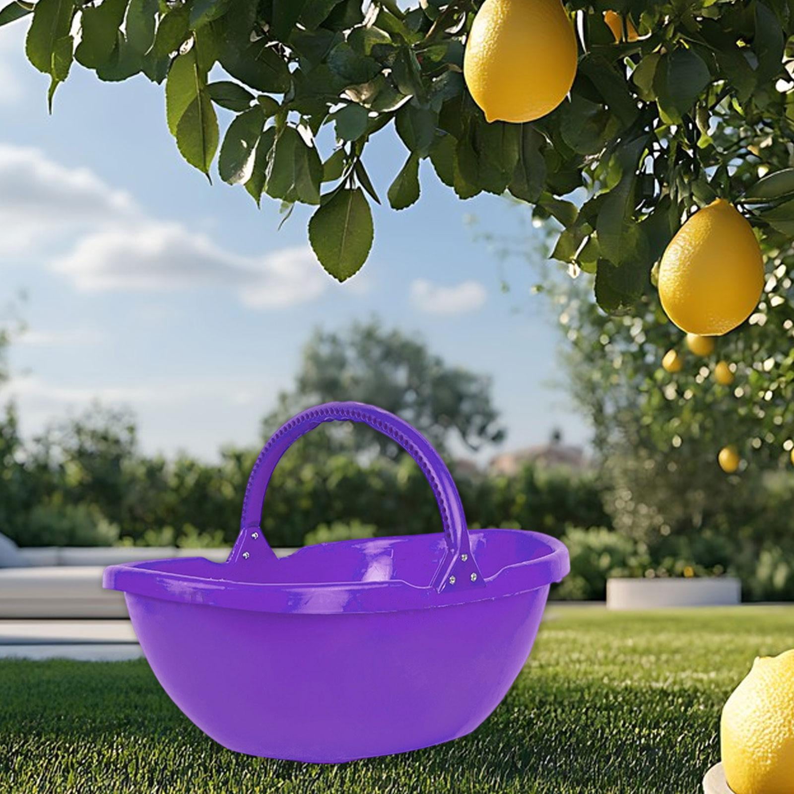 Miulika Garden Harvesting Basket, Picking Basket with Handle, Multipurpose Handheld Harvesting Tool for Lawn, Kitchen, Farm, Garden, Yard Purple