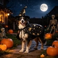 thumbnail image 7 of FEOLGEHLY Halloween Dog Hat Set and Witch Cloak, Soft Blend Adjustable Holiday Dog Costume, Cosplay Dress Up Dog Outfit for Small Medium Dogs Cats Party Photo Props, Halloween Fall Decorations, 7 of 7