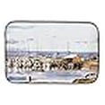thumbnail image 3 of Carolines Treasures 1006DDM Pass Bait Shop Dish Drying Mat, 3 of 4