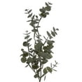 thumbnail image 2 of Vickerman 64" Artificial Green Gray Eucalyptus Garland, 2 of 5
