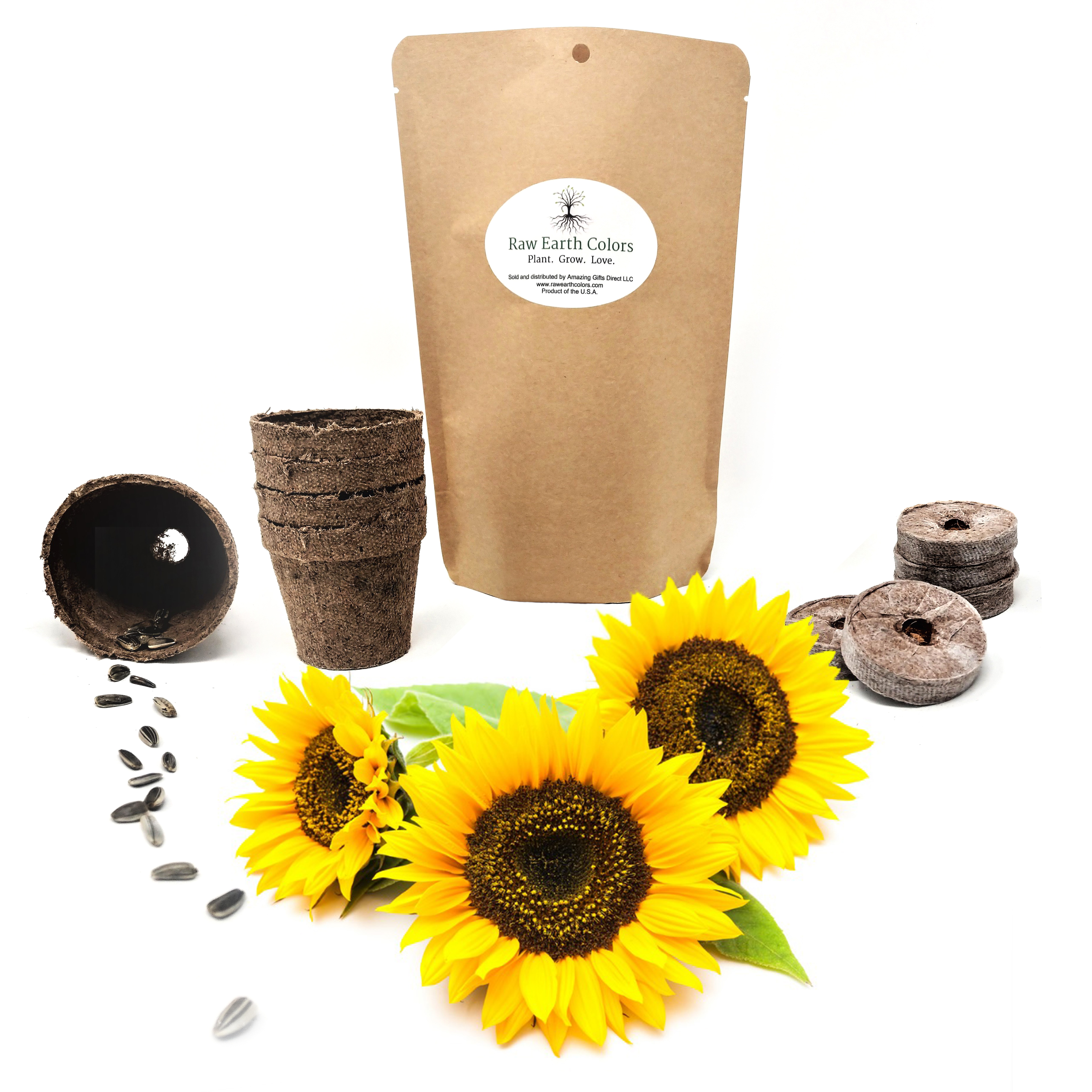 Sunflower grow kit with sunspot dwarf sunflower seeds for planting